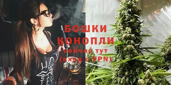 гашик Карталы