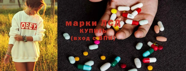 гашик Карталы