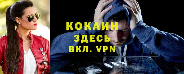 гашик Карталы