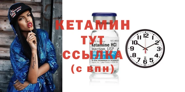 гидра Каменка