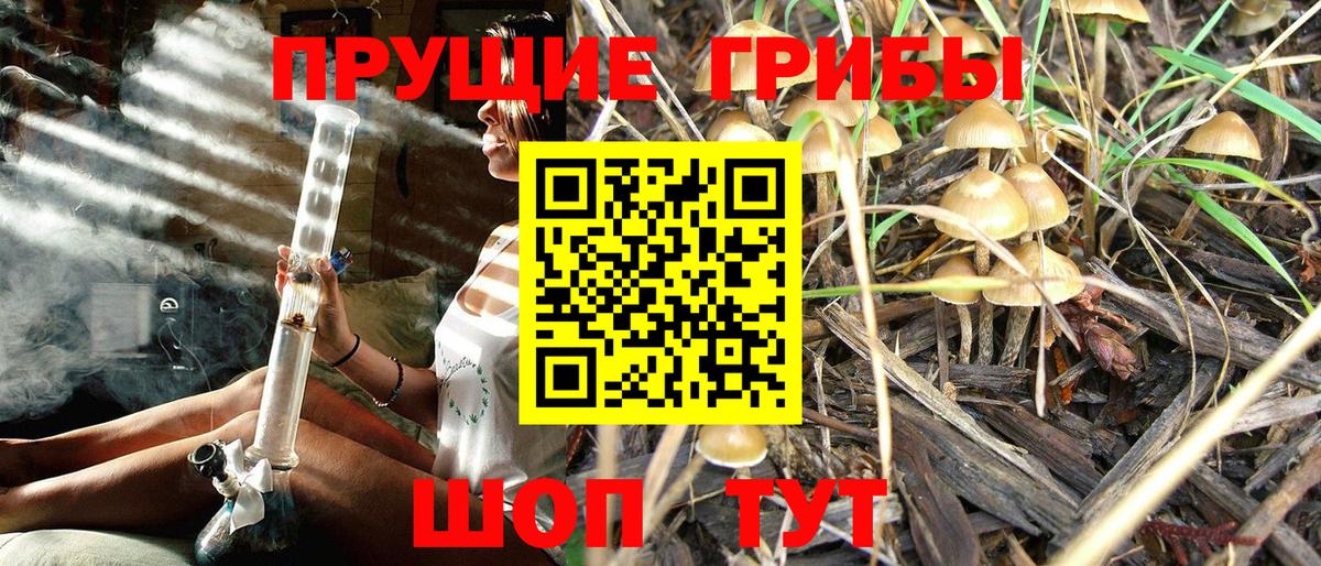 Красногорск  Псилоцибиновые грибы ЛСД  Вход с VPN  Галлюциногенные грибы ЛСД 